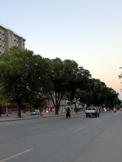 Avenida Antônio Abrahão Caram