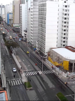 Avenida Rio Branco (Juiz de Fora)
