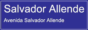 Avenida Salvador Allende
